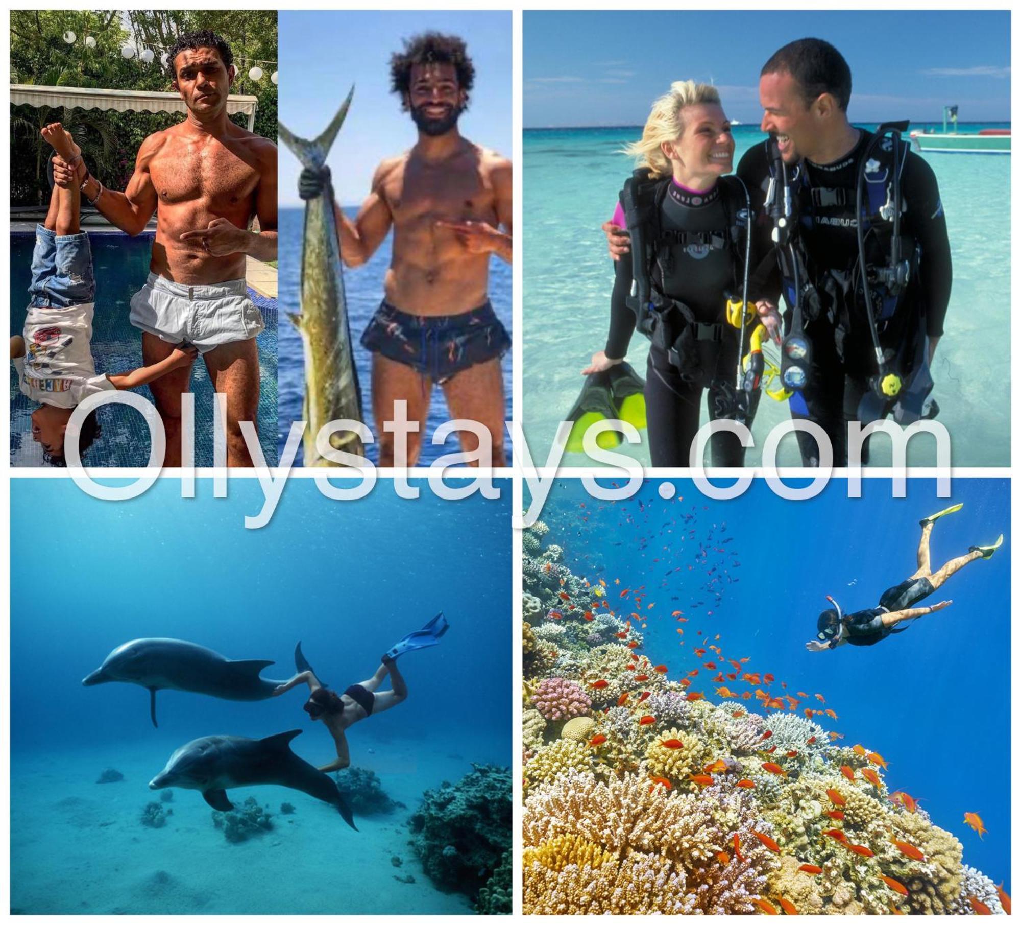 Ollystays Mangroovy 1 Bedroom Beach And Pool Free Access Хургада Экстерьер фото